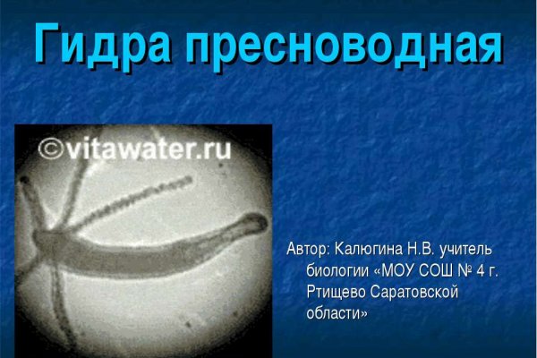 Кракен сайт что: полный обзор